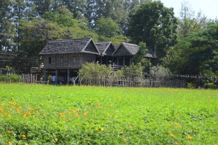 ภาพงาน_๑๙๑๒๑๖_0087 ชมดอกไม้สวยสะพรั่ง ออนซอนวิถีอีสานยุคก่อน ณ จิม ทอมป์สัน ฟาร์ม