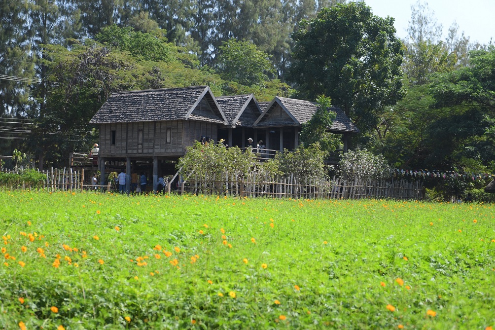 ชมดอกไม้สวยสะพรั่ง ออนซอนวิถีอีสานยุคก่อน ณ จิม ทอมป์สัน ฟาร์ม