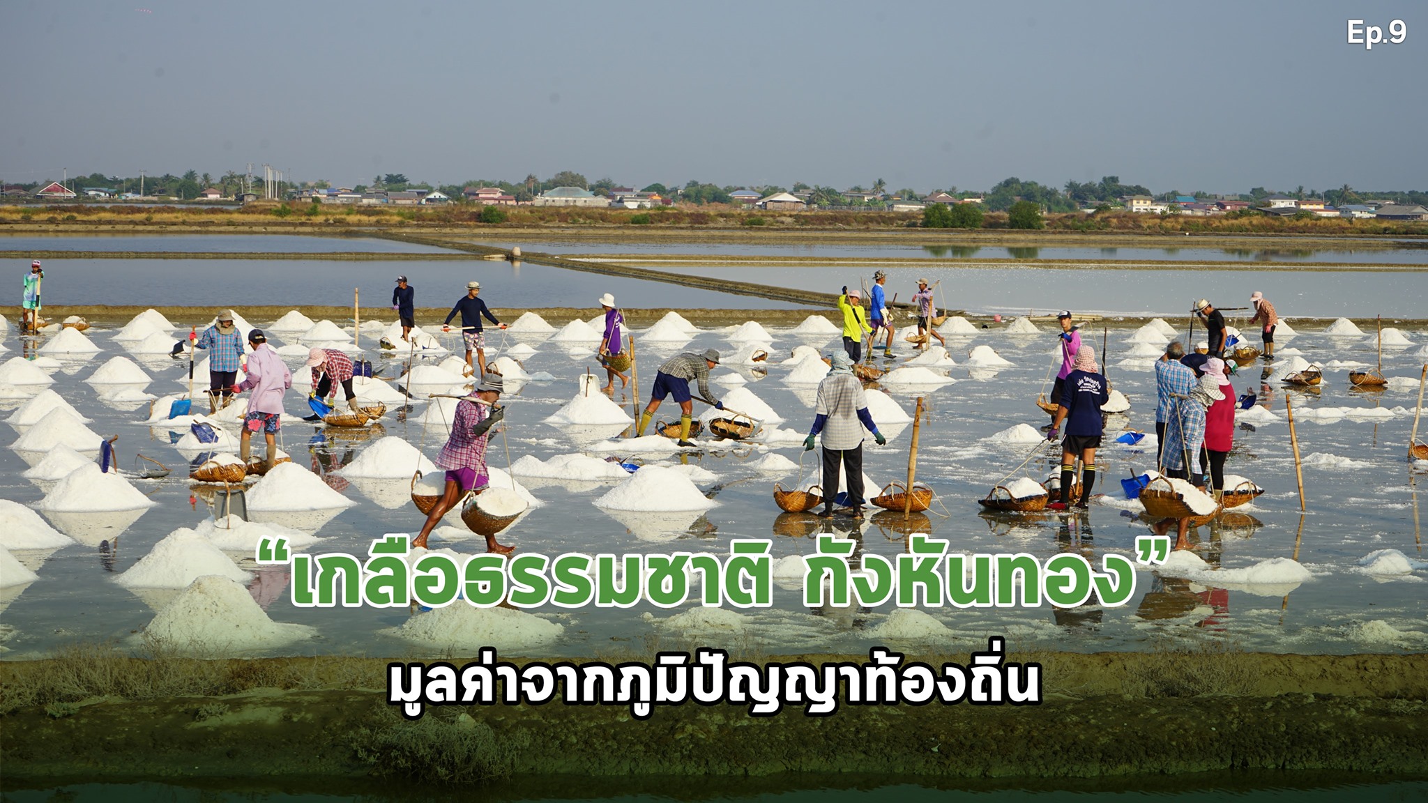 สารคดีเสียงจากแผ่นดิน#6 EP.9 ตอน : “เกลือธรรมชาติ กังหันทอง” มูลค่าจากภูมิปัญญาท้องถิ่น