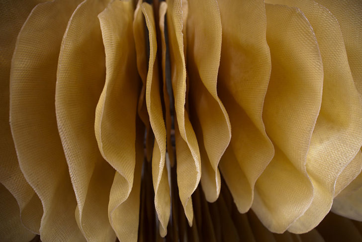 Rubber Production in Thailand