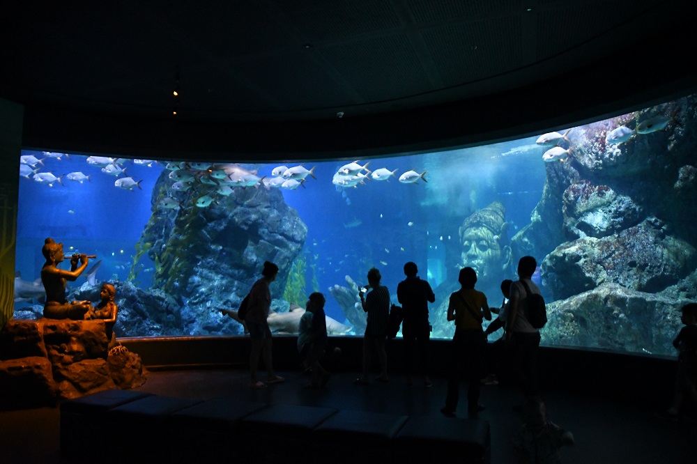 ชมสัตว์น้ำกว่าหมื่นชีวิต ณ Sea Life Bangkok อะควาเรียมที่ใหญ่ที่สุดในไทย