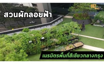 ภาพปก บทความ SET Everywhere Everyone