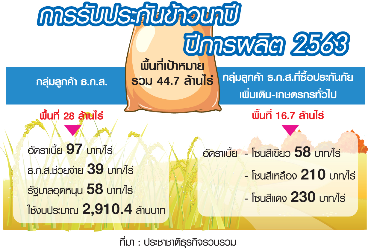 คลังปรับโมเดลประกันข้าวนาปี เคาะ “ขึ้นเบี้ย-จัดโซนเสี่ยง” รับมือแล้งหนัก