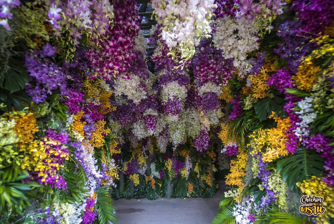 สวนกล้วยไม้นับหมื่นวิกฤตหลายพันล. โควิดทำปม “ลักลอบ” ส่งจีนปูด-จี้รัฐอัดซอฟต์โลนอุ้ม