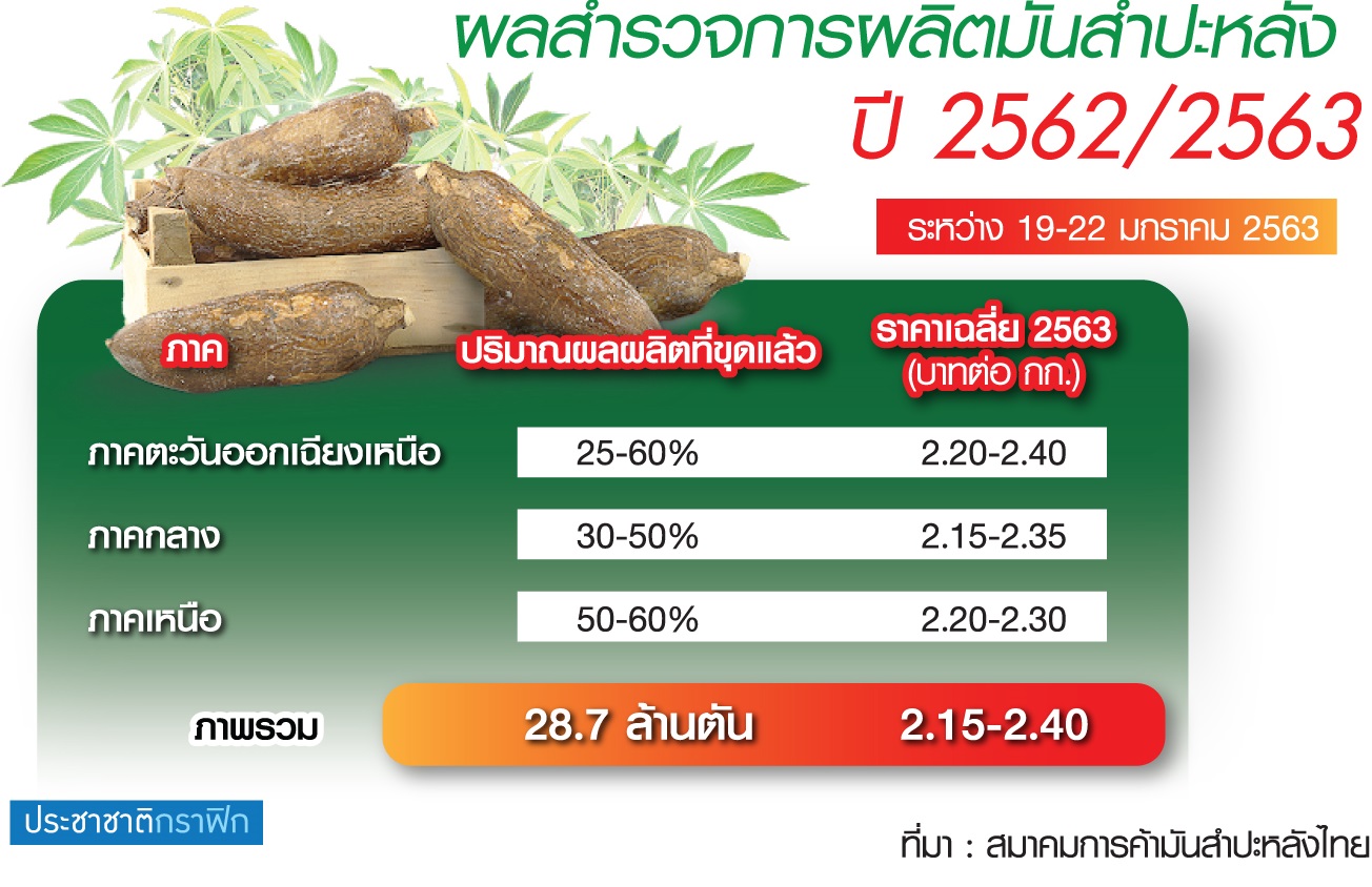 แล้งถล่มมันสำปะหลังขาดตลาด วิกฤตรง.เอทานอล-อาหารสัตว์แย่งซื้อ