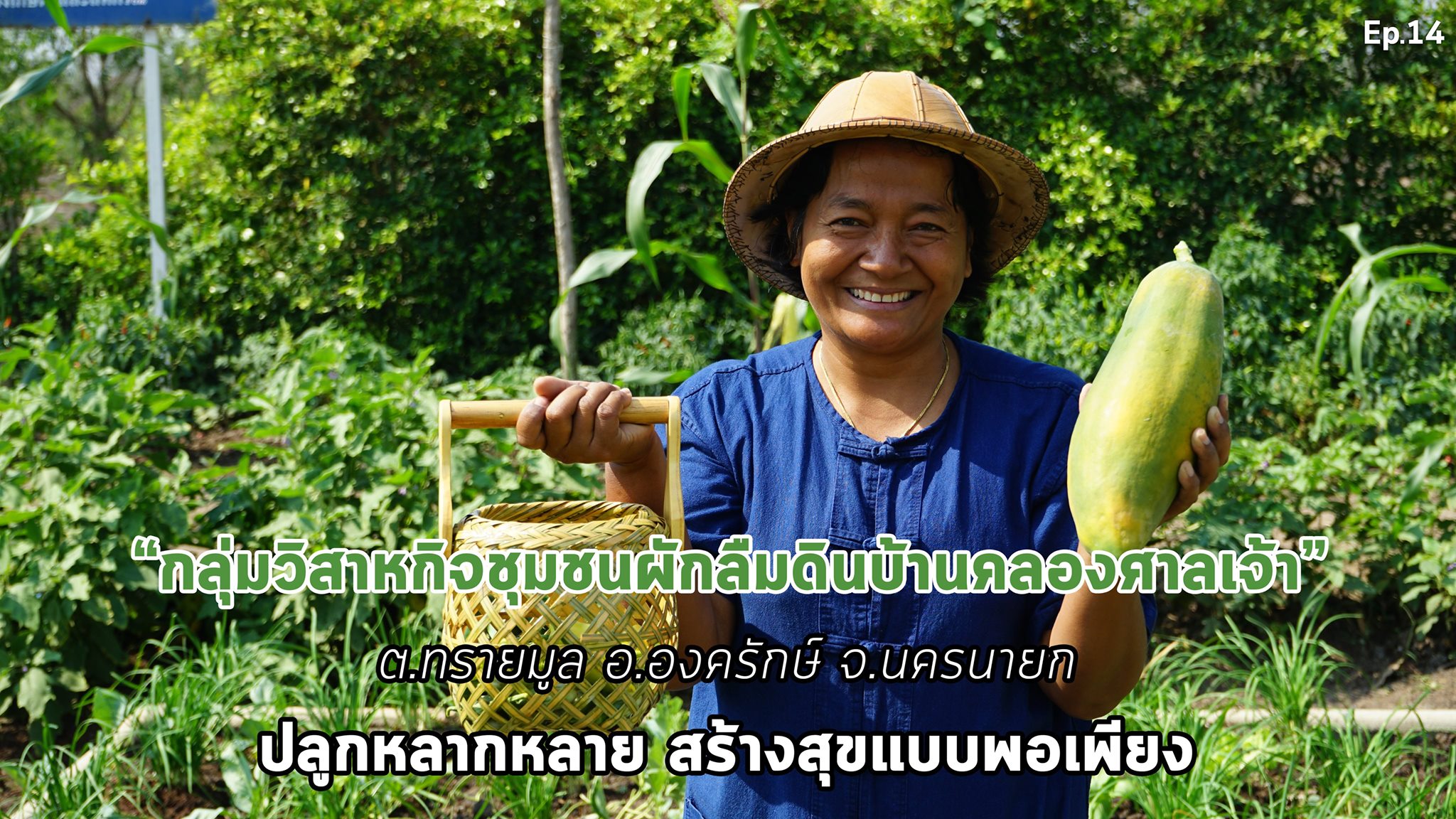 สารคดีเสียงจากแผ่นดิน#6 EP.14 : กลุ่มวิสาหกิจชุมชนผักลืมดินบ้านคลองศาลเจ้า ต.ทรายมูล อ.องครักษ์ จ.นครนายก