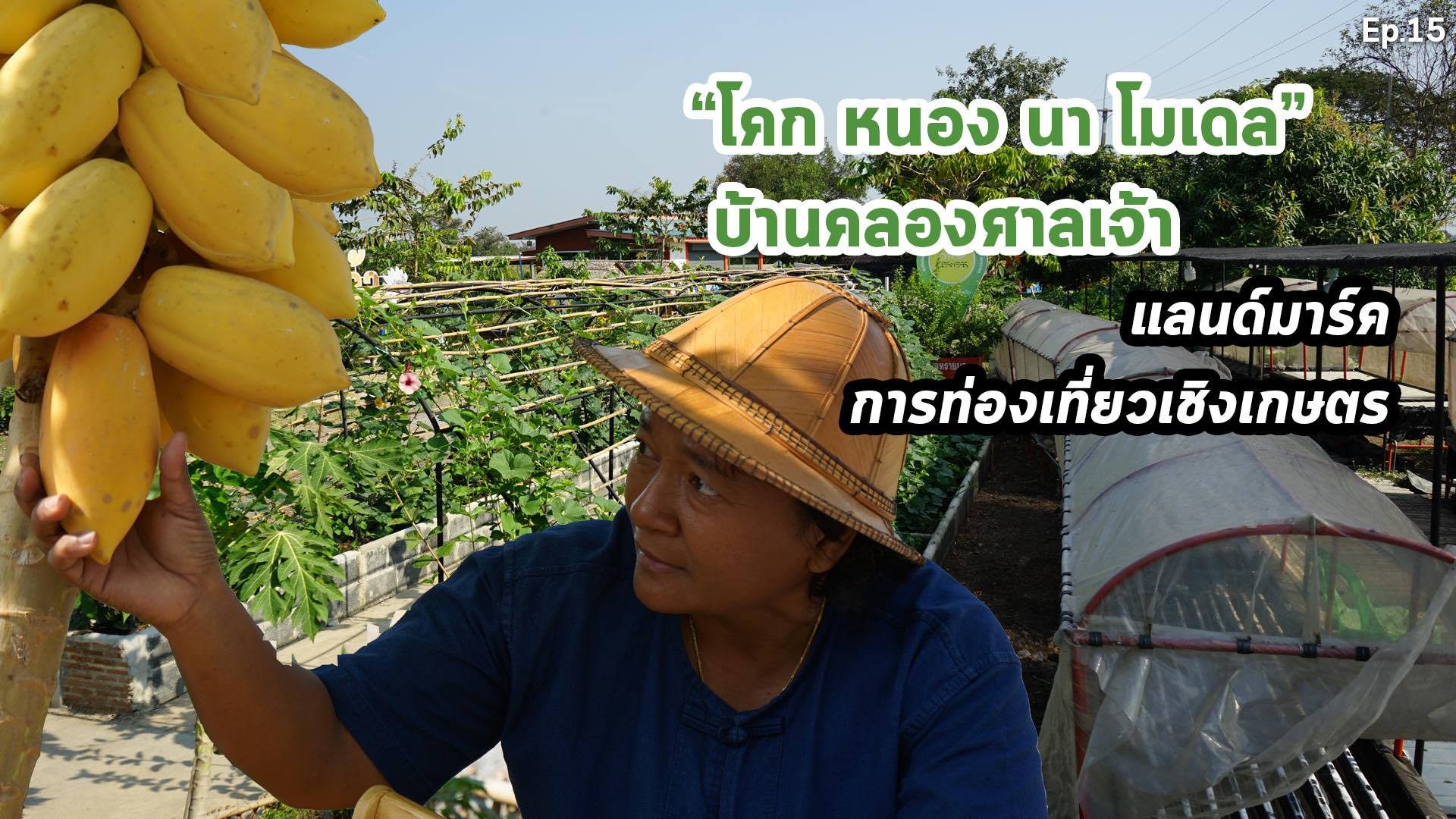 “โคก หนอง นา โมเดล” บ้านคลองศาลเจ้า แลนมาร์คการท่องเที่ยงเชิงเกษตรใกล้กรุง