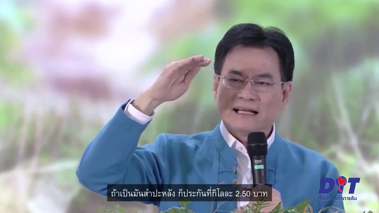 โครงการประกันรายได้มันสำปะหลัง ถือเป็นการช่วยเหลือเกษตรกร ตามนโยบายของรัฐบาล ที่สามารถบรรเทาความเดือดร้อนให้กับเกษตรกร ในกรณีราคามันสำปะหลังตกต่ำ ช่วยเพิ่มรายได้ และสร้างความเข้มแข็งให้กับเกษตรกร 
