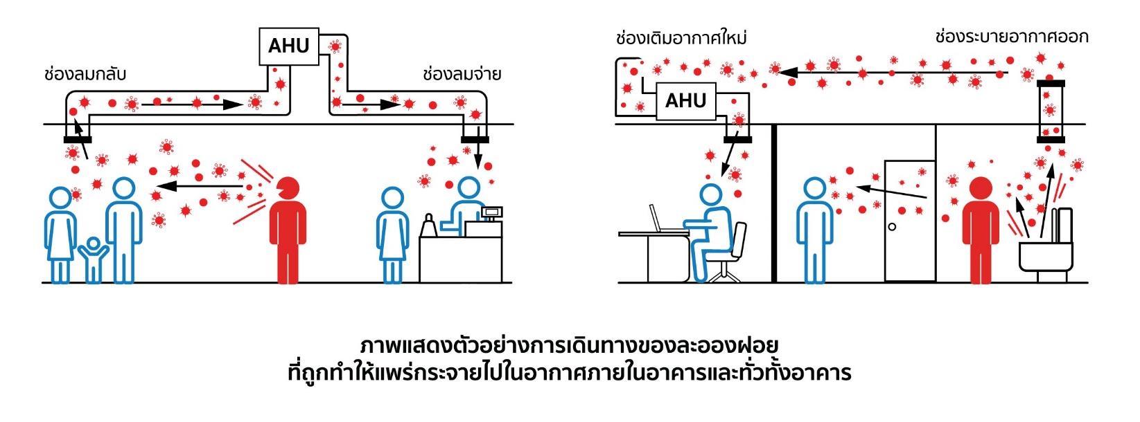 รู้หรือไม่ ? ว่าบริเวณคอยล์ของระบบปรับอากาศ คือแหล่งเพาะพันธุ์และแหล่งสะสมของเชื้อไวรัส แบคทีเรีย และเชื้อราต่างๆ