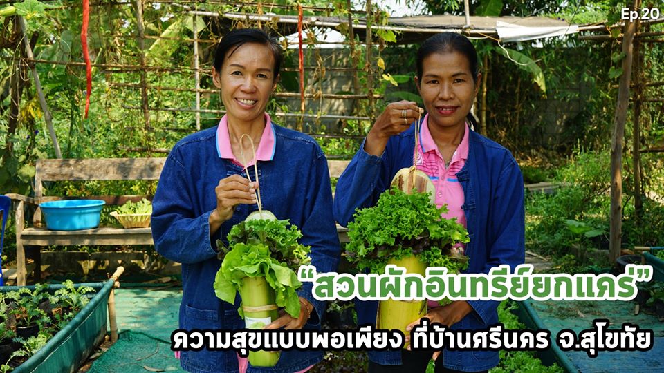 สารคดีเสียงจากแผ่นดิน#6 EP.20 ตอน : สวนผักอินทรีย์ยกแคร่ ความสุขแบบพอเพียง ที่บ้านศรีนคร จ.สุโขทัย