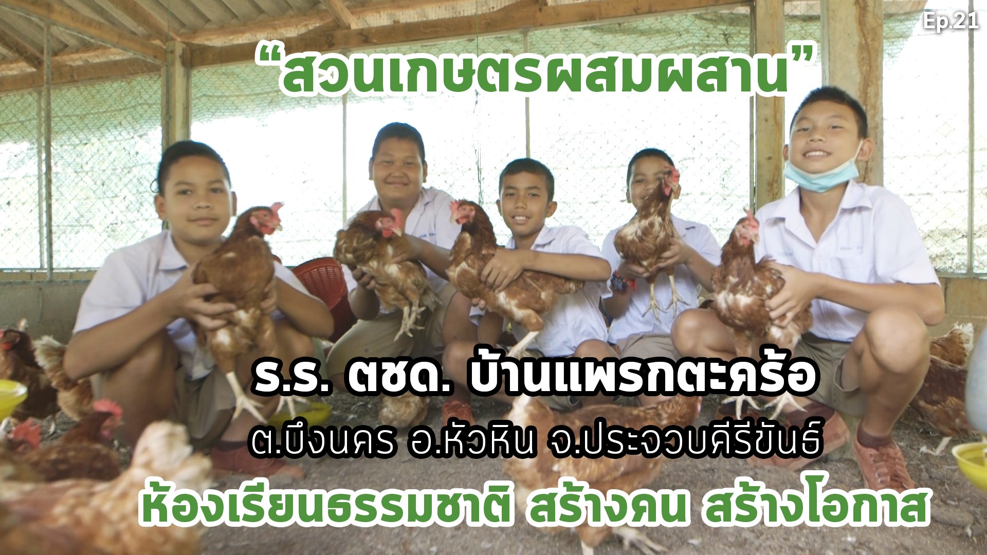 สารคดีเสียงจากแผ่นดิน#6 EP.21 ตอน : สวนเกษตรผสมผสาน ร.ร. ตชด. บ้านแพรกตะคร้อ จ.ประจวบคีรีขันธ์