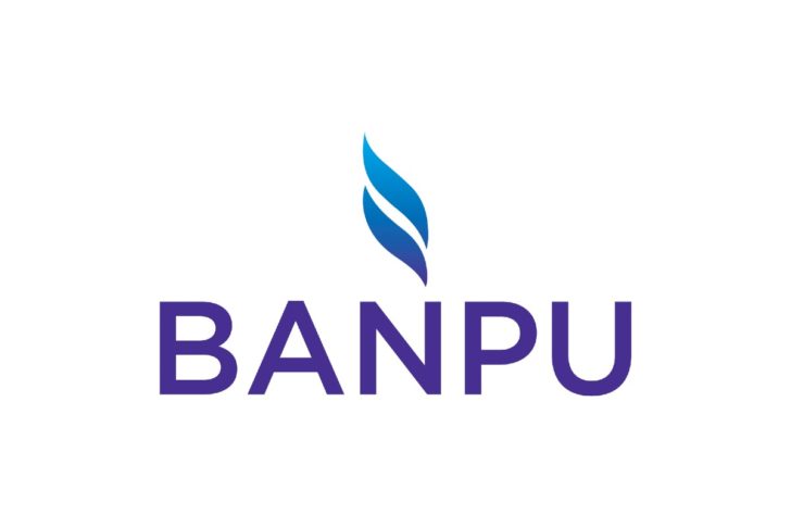 BANPU บ้านปู