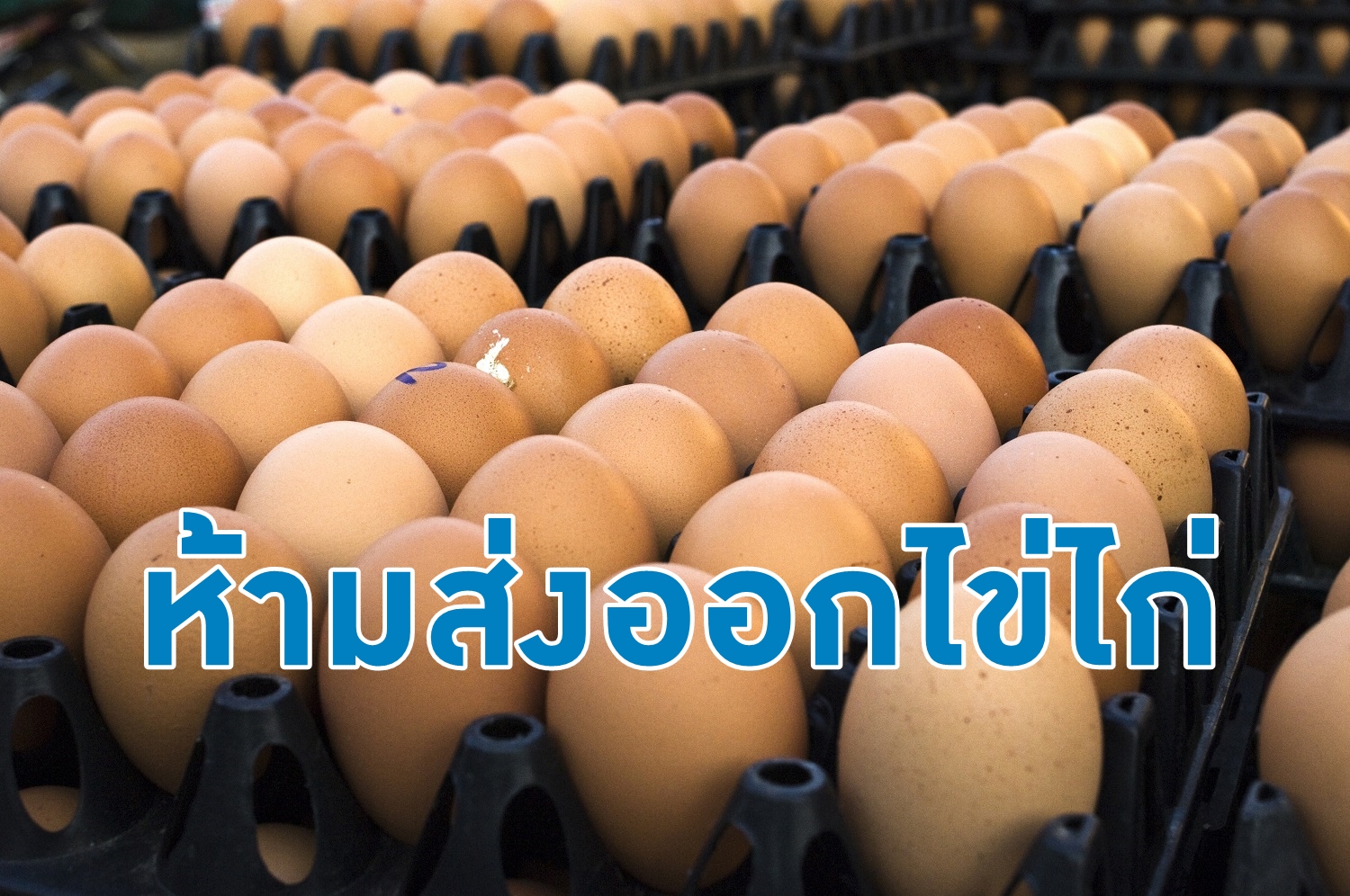 “จุรินทร์” ห้ามส่งออกไข่ไก่ 7 วัน ขายแพง คุก 7 ปี คุมราคาสินค้าจำเป็น