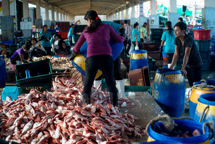 Migrant Workers in Phuket