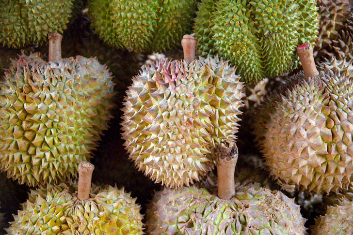 Durians are exotic fruits with foul-smelling