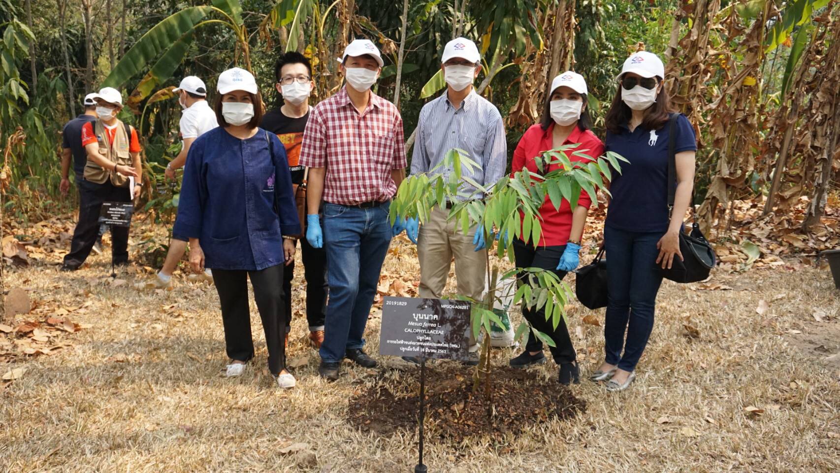 รฟม.ปลูกป่าสร้างออกซิเจนให้เชียงใหม่สู้ฝุ่น PM2.5