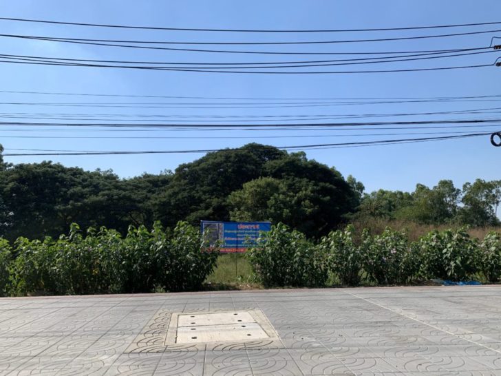 “เซ็นทรัล” ทิ้งประมูลที่ดินดอนเมือง