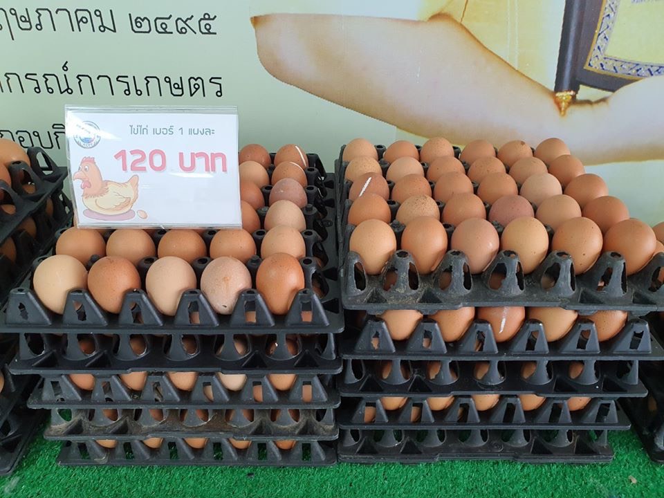 ข้าว-ไข่ไก่ เพียงพอยันล็อกดาวน์ 6 เดือน-1ปี วอนอย่ากักตุน ปิดช่องโหว่ฉวยโอกาสค้ากำไร