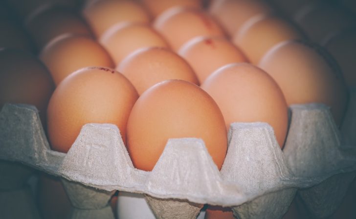 egg-4059957_960_720