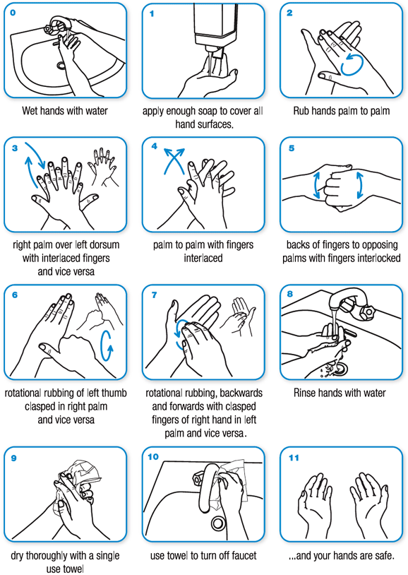 11 ขั้นตอนการล้างมือ โดย WHO