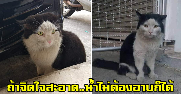 ไม่ใช่แค่หน้ากากอนามัยที่ขาด