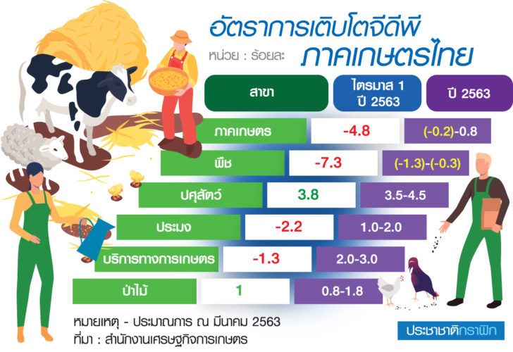 เกษตรไทย 1