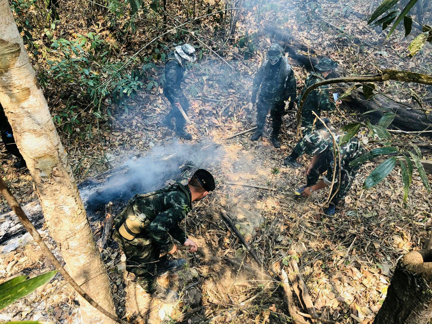 ไฟป่าเชียงใหม่ยังร้อนระอุ 5 อำเภอ Hotspots เกิดซ้ำซากในป่าสงวนฯ