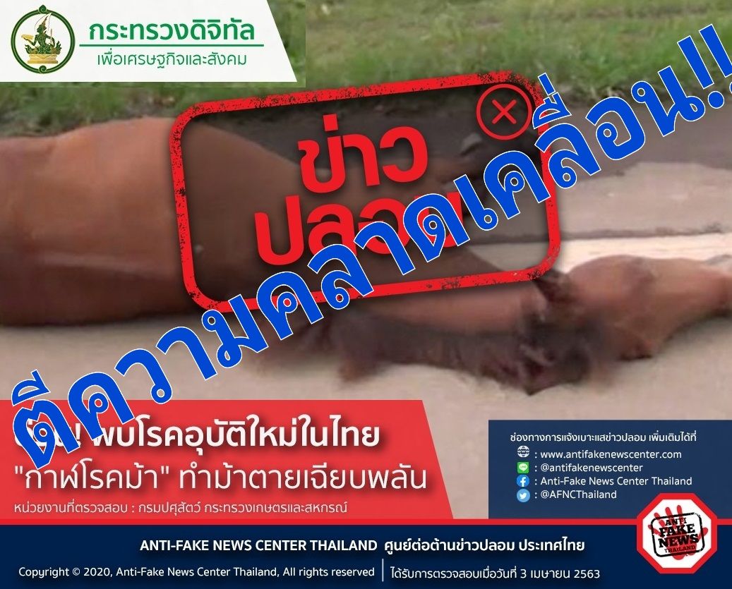 ศูนย์ต่อต้านข่าวปลอม กระทรวงดิจิทัล “เสียใจ” แจ้งข่าว “กาฬโรคม้า” เป็น fake news