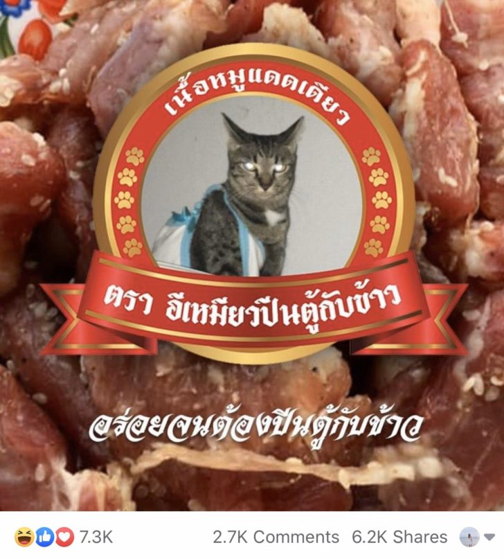 เน็ต บ้านค่าย ไหน ดี 2563