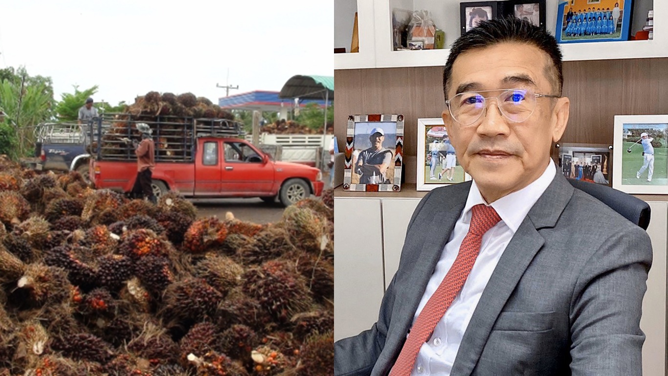โรงสกัดรับมือ “ปาล์มทะลัก” วิกฤตโควิด-19 ทุบดีมานด์ร่วง