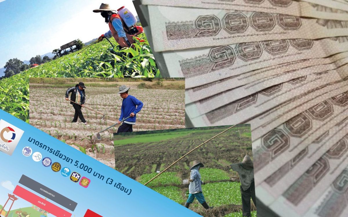 เช็กสถานะเราไม่ทิ้งกัน คลังโอน 5 พัน หัวหน้าครัวเรือนเกษตรกร 4.7 แสนราย พรุ่งนี้