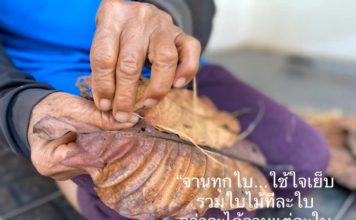 คนแก่รวมกลุ่มนำ ‘ใบไม้’ ทำ ‘จานรักษ์โลก’ หารายได้ช่วงโควิด