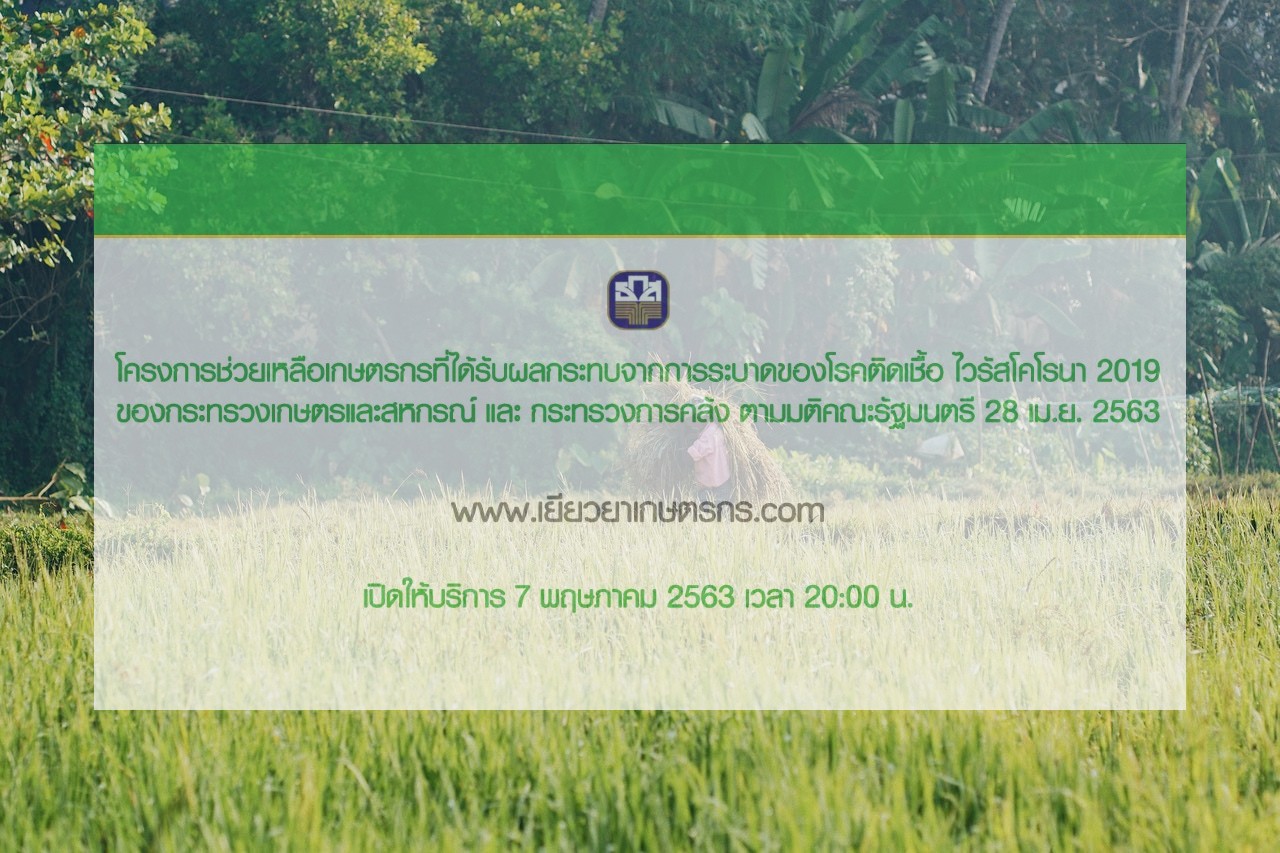 www.เยียวยาเกษตรกร.com เปิดให้บริการ 2 ทุ่มวันนี้ เป็นวันแรก