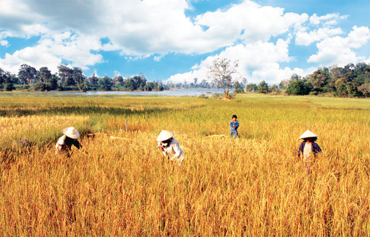 กระทรวงเกษตรฯเปิดรับเรื่องอุทธรณ์เกษตรกรตกหล่นเยียวยา5พัน16พ.ค.นี้