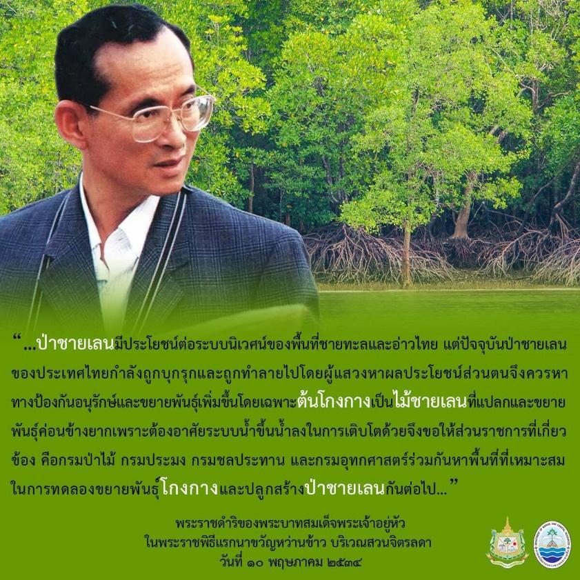 วันที่ ๑๐ พฤษภาคม “วันป่าชายเลนแห่งชาติ”