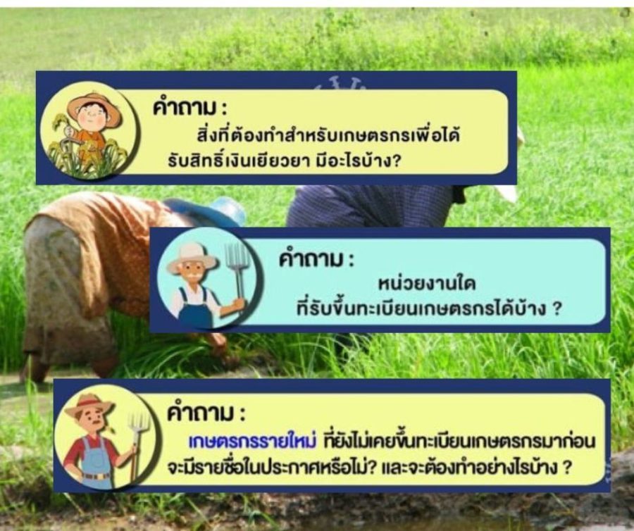คำถามที่พบบ่อย ปัญหารับเงินเยียวยาเกษตรกร 5 พันบาท
