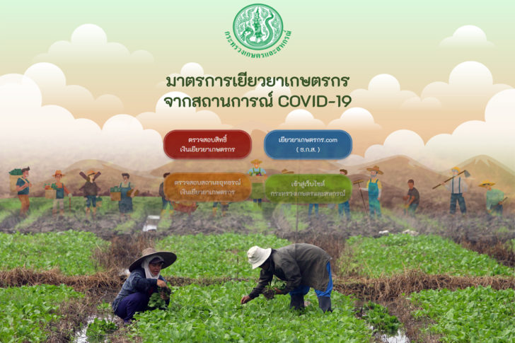 เยียวยาเกษตร เยียวยาเกษตร ธกส. โอนเงิน