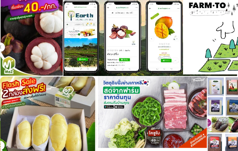 ฉลองวัน “เกษตรกร” กับช่องทางเสิร์ฟ “ผักดีผลไม้อร่อยข้าวปลอดสาร” ส่งตรงถึงบ้าน