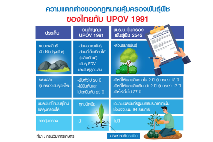 งานออกแบบที่ไม่มีชื่อ (71)
