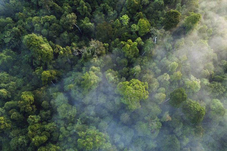 INDONESIA-ENVIRONMENT-ECOSYSTEM