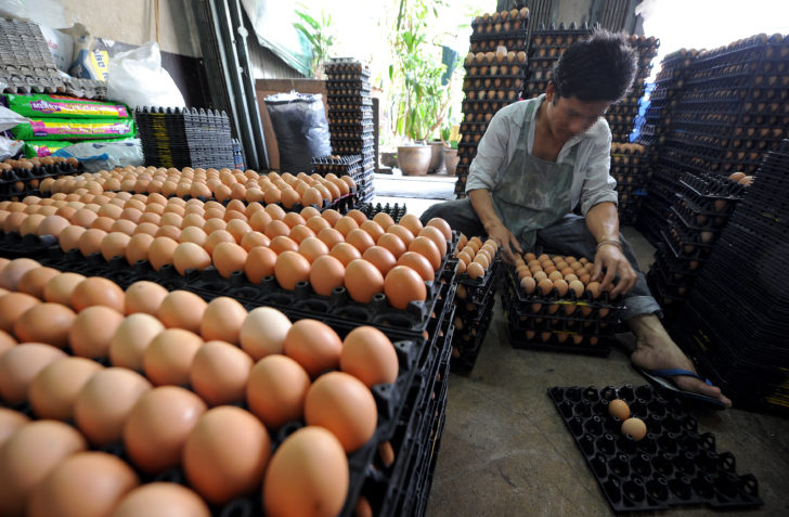 ไข่ไก่ ไข่ไก่