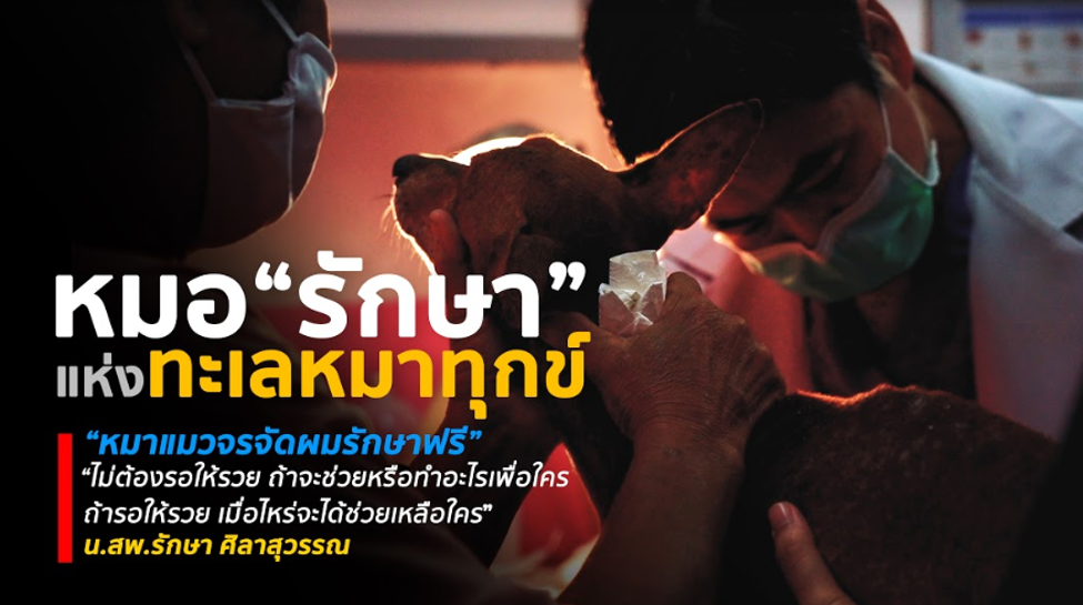 “ผมรักษาสุนัขและแมวจรจัดฟรี