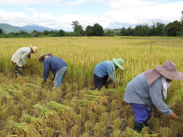 เกษตรกรยื่นอุทธรณ์ 5 หมื่นราย หลังชวดเงินเยียวยา 5,000 บาท งวดแรก