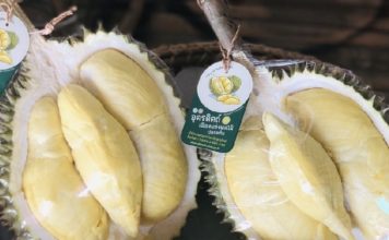 พาณิชย์เปิดเฟซบุ๊ก GI Thailand ช่วย 35 จังหวัดขายสินค้าเกษตร