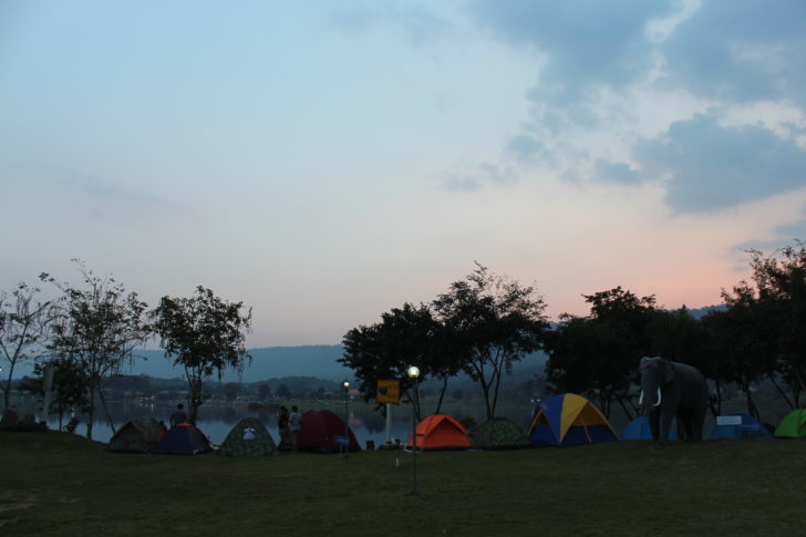 IMG_0077-728x485
