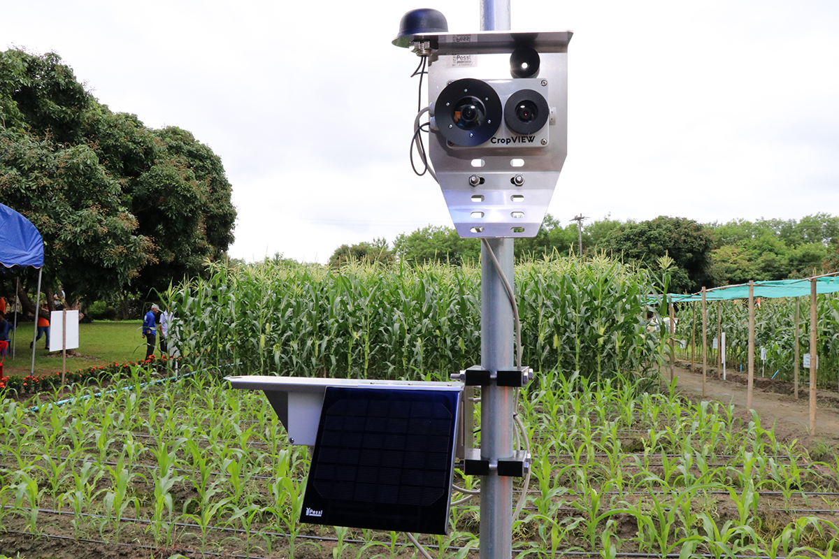 พลิกธุรกิจเกษตรไทย ด้วยเทคโนโลยี IOT