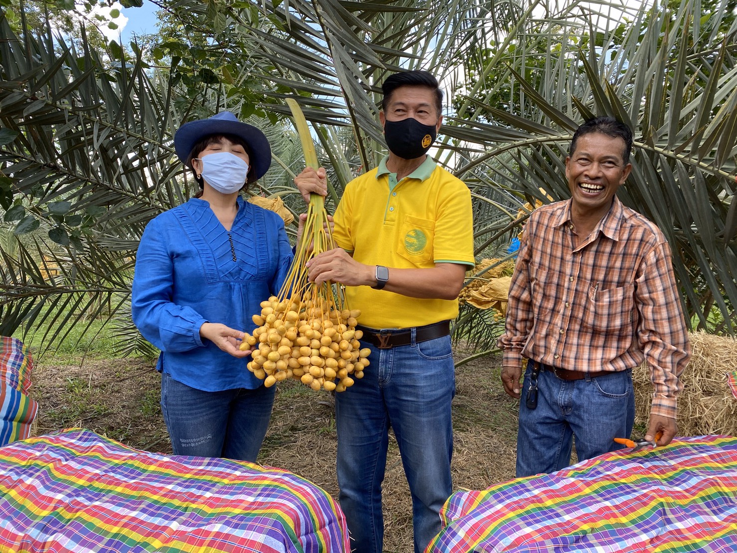 ของดีจังหวัด! ผู้ว่าฯหนองคายชวนเที่ยว”สวนอินทผลัม” ใหญ่ 200 ไร่
