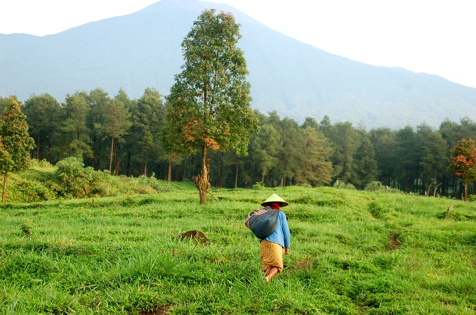 ยุทธศาสตร์ Farm to Fork ผลิตอาหารยั่งยืน-เป็นมิตรสิ่งแวดล้อม