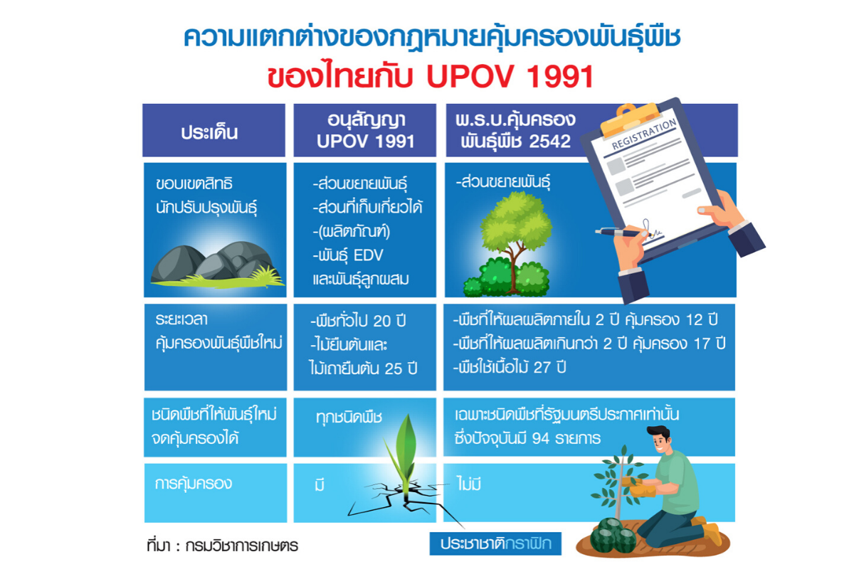 สแกน UPOV 1991 ปั้นนักวิจัย-ไม่แตะเมล็ดพันธุ์ดั้งเดิม