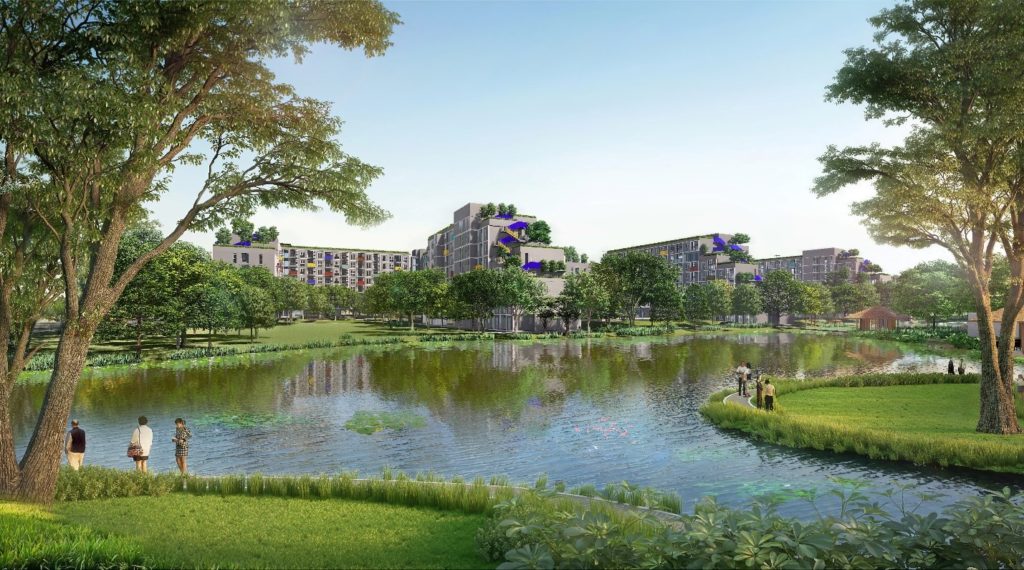 โครงการ Senior Complex